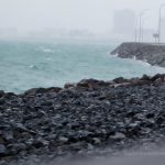 Hafen Reykjavik