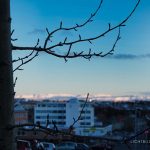 Reykjavik